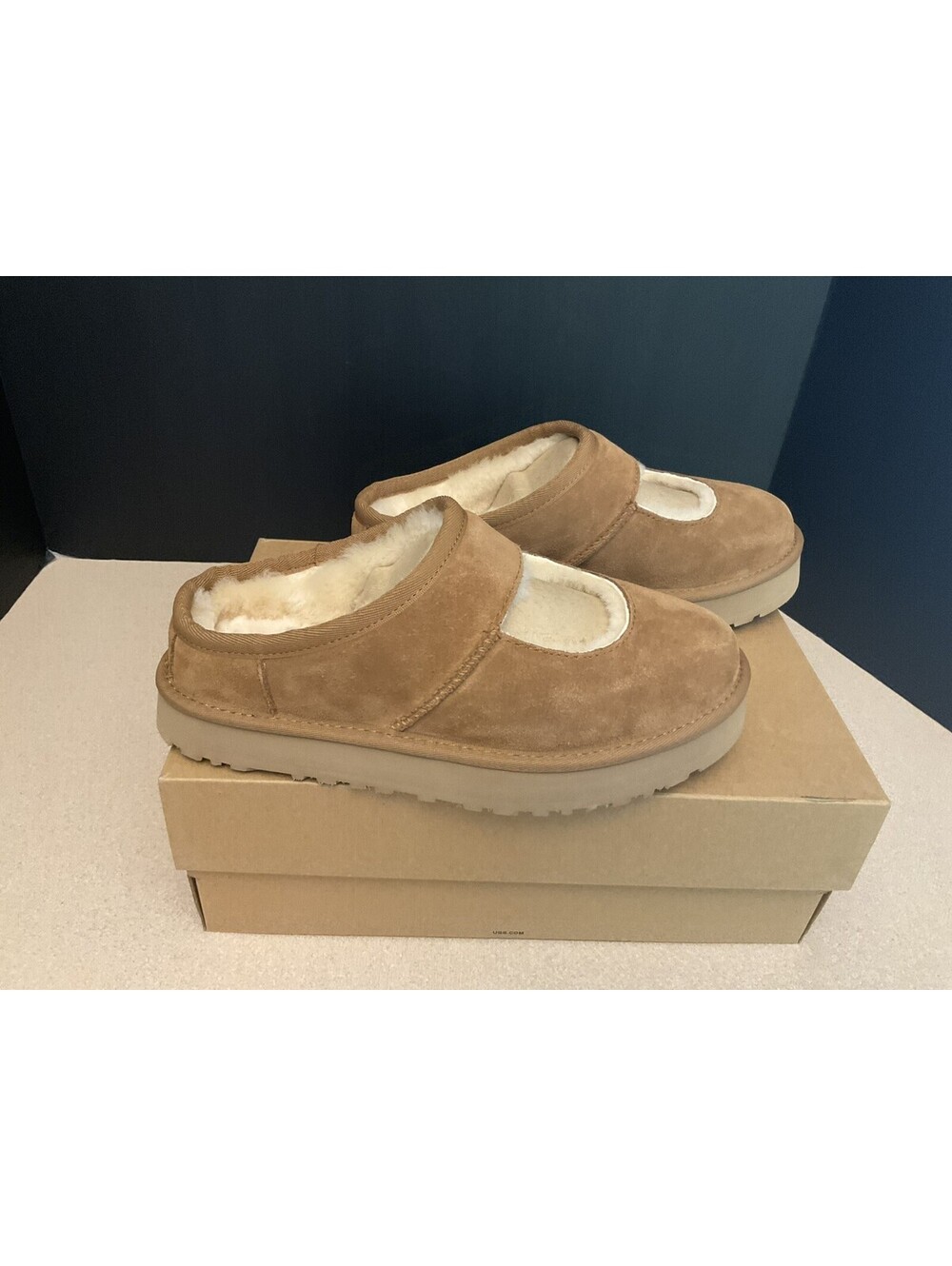 New! Youth’s UGG Bea Mary Jane Chestnut Mary Jane Slip On Shoes. Size 5Y. Nice!